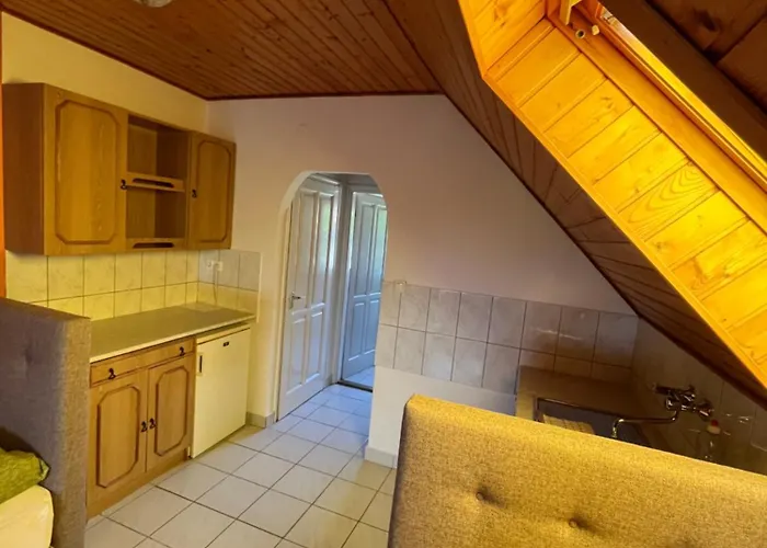 Szasza Tatil Evi *