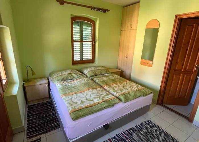 Szasza Tatil Evi